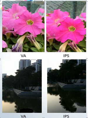 【一般人都不懂的知识】电视软屏和硬屏谁更好