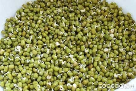 它被誉为"万寿果芽",自己种的更健康哦