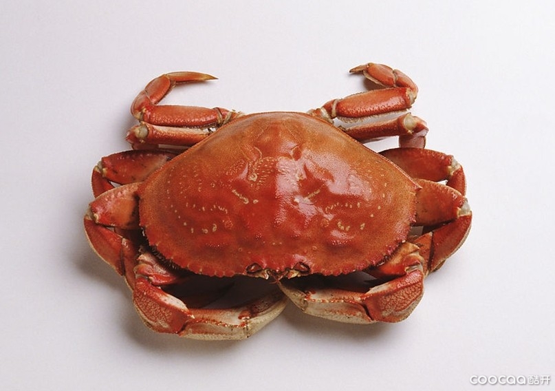 螃蟹的15种食用禁忌