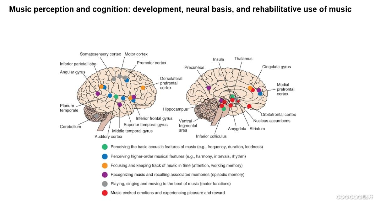 大脑的音乐奖赏机制〔2